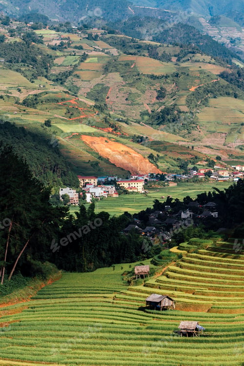 Preview: Green Rice fields on Terraced in Muchangchai, Vietnam Rice fields prepare the harvest at Northwest