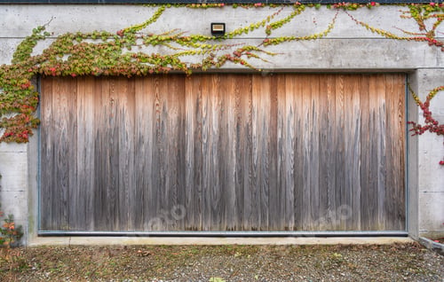 Vorschau: Holztor der Garage mit Herbstlaub und Efeupflanze im Haus