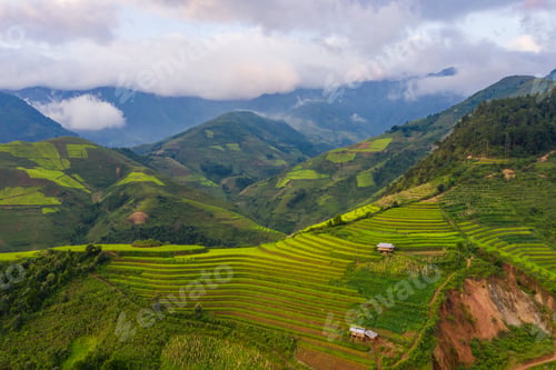 Preview: Paddy rice terraces, green agricultural fields in countryside of mountain hills valley, Vietnam.