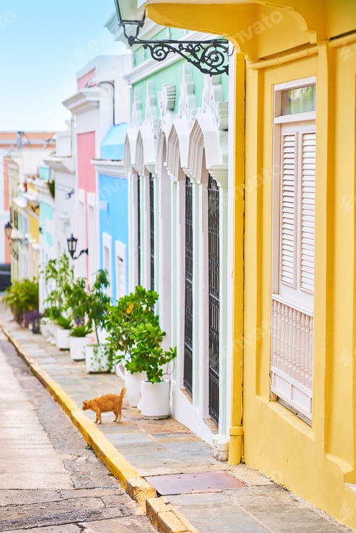 Preview: Colorful Buildings and Ginger Cat in Urban Street