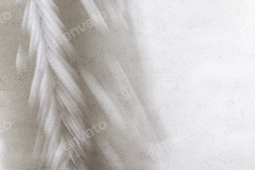 Preview: Palm leaf shadow on white concrete wall. Minimal summer exotic concept with copy space
