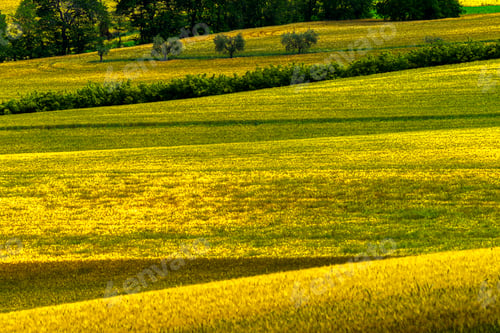 Preview: Rural landscape near Cingoli and Appignano, Marche, Italy