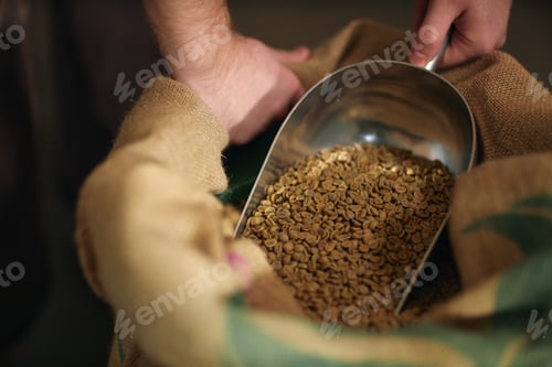 Preview: Man Filling Scoop with Coffee Beans