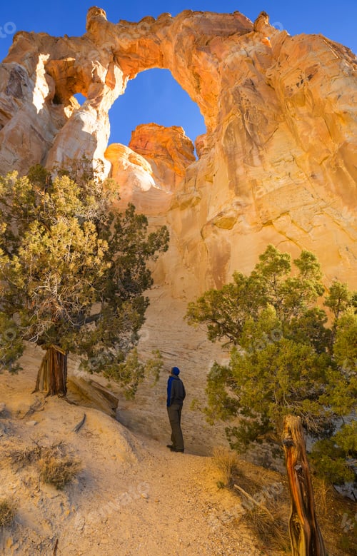 Preview: Grosvenor Arch
