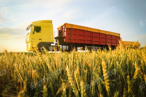 Preview: Modern bright truck on road near wheat field