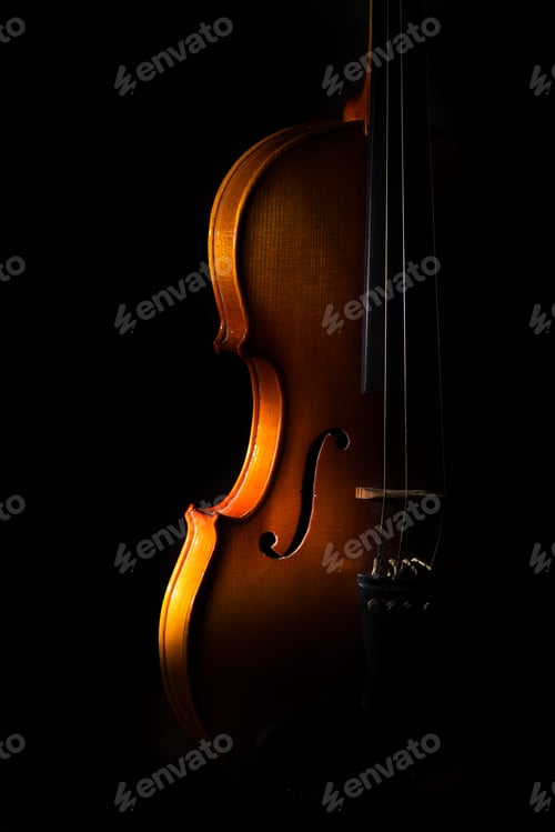 Preview: Violin detail