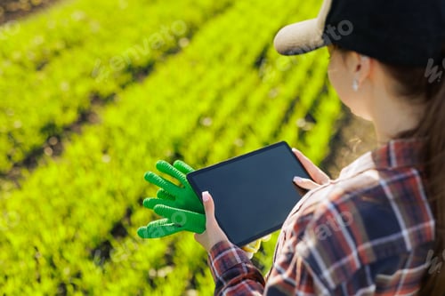 Preview: young female farmer with a tablet in her hands examines the green field. Modern technologies