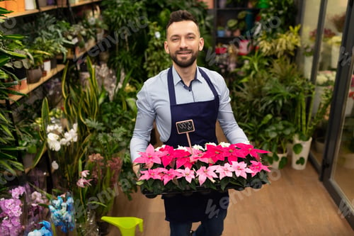 Preview: portrait of an employee of a flower shop with perfect small red flowers in his hands