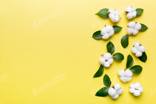 Preview: Autumn Floral Flat lay background composition. Dried white fluffy cotton flower branch