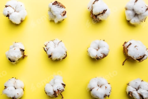 Preview: cotton flowers on yellow