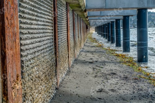 Preview: A View From Beneath The Construction Of A New Walkway In Redondo Beach, Washington.