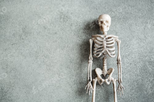 Preview: Little toy skeleton over grey background, minimalistic Halloween concept, top view flat lay
