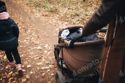 Preview: family walking in the autumn forest / fall season / earth tones