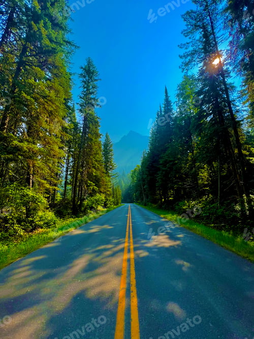 Preview: Yellow lined road surrounded by trees