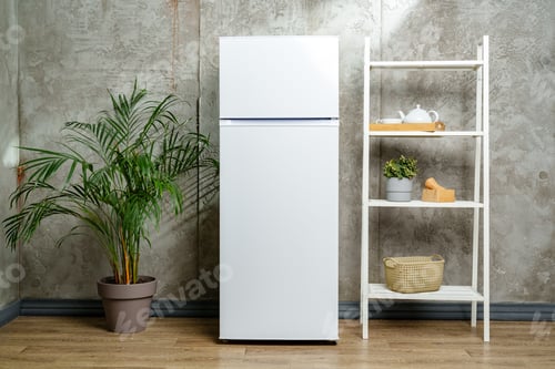 Preview: White Refrigerator with Shelving and Potted Plant