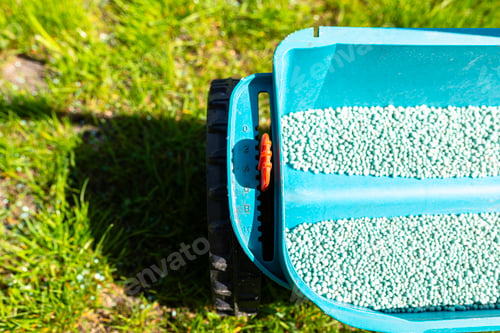 Preview: Fertilizing a young lawn with grass fertilizer in granules using a manual grass seeder.