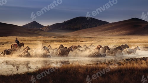 Preview: Herd of horses running through a river valley in mountains
