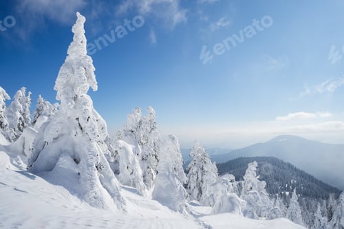 Preview: Beautiful pictures of nature in winter