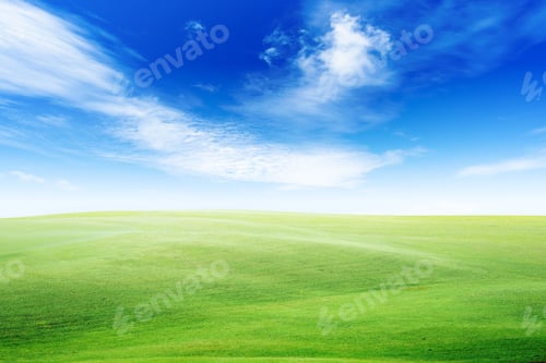 Preview: Greetings grass meadow park blue sky background