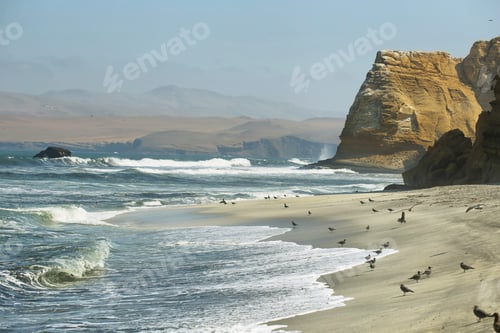 Preview: Paracas national park, Peru
