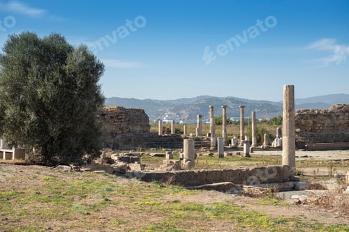 Preview: Magnesia Ancient City ruins on Maeander. Aydin, Turkey.