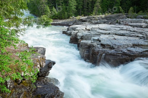 Preview: The water of Avalanche Creek in Glacier National Park rushes between rocks