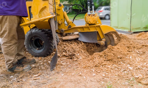 Preview: stump grinder in action tree cut nature is destroyed