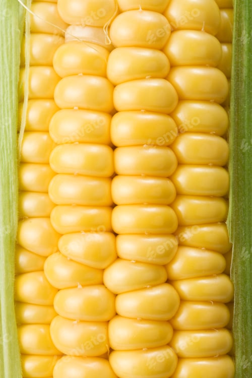 Preview: ripe yellow corn