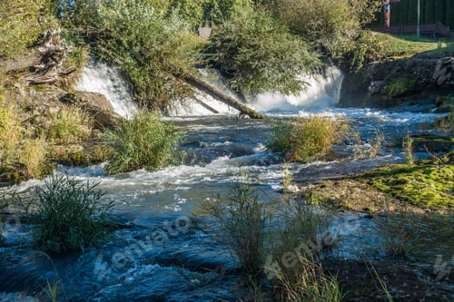 Preview: Closeup Shot Of A Section Of Tumwater Falls With Bushes Hanging Over The Water.