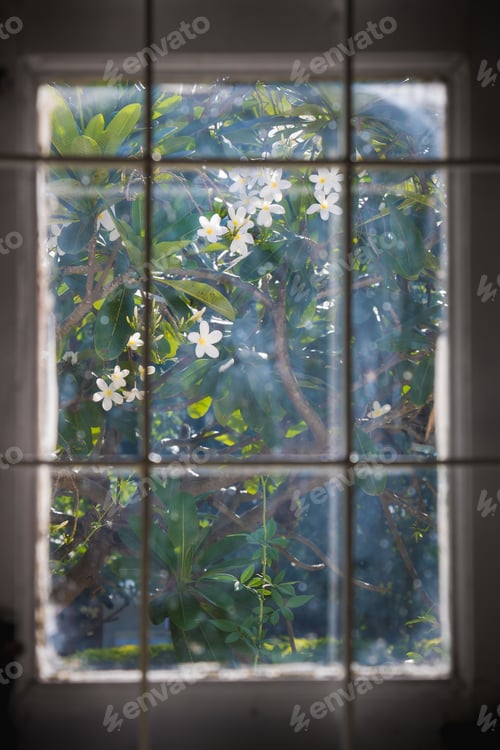 Preview: Life outside the window