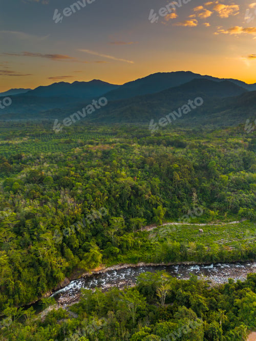 Preview: Beautiful morning view indonesia panorama landscape paddy fields