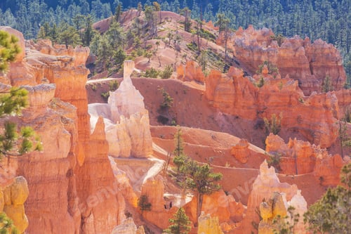 Preview: Bryce