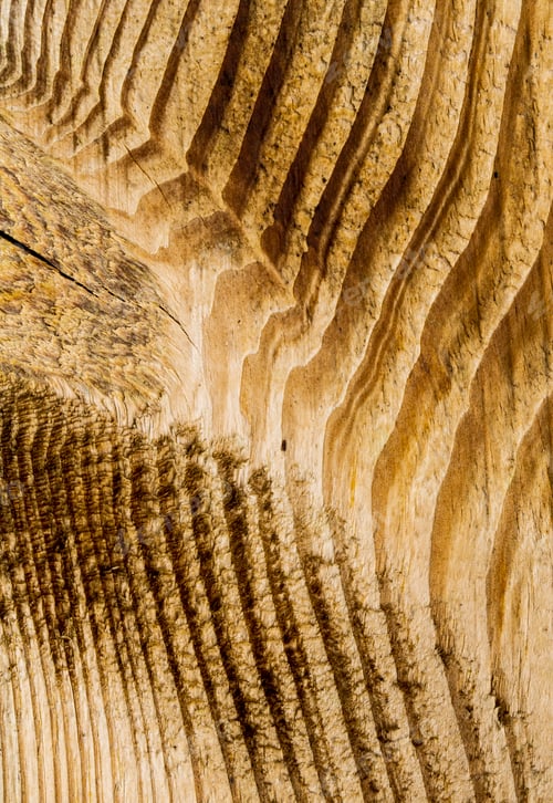 Preview: wood texture background