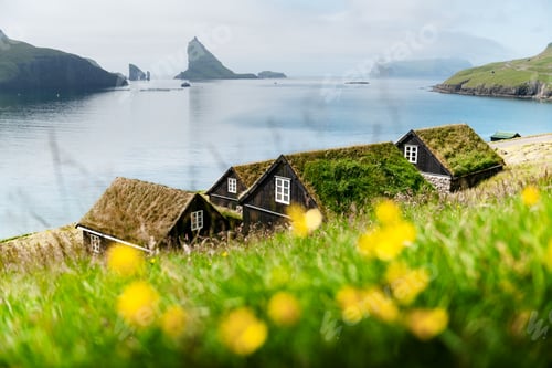 Preview: Picturesque view of tradicional faroese grass-covered houses