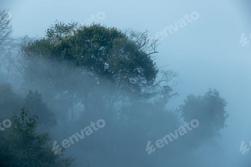 Preview: Foggy