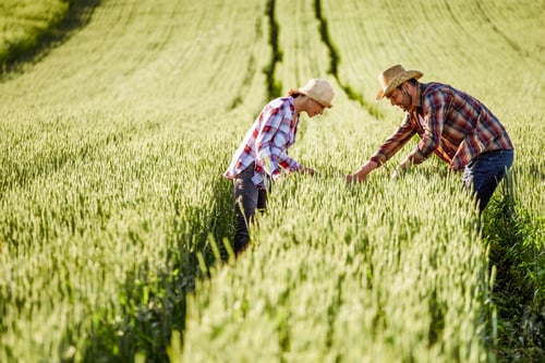Preview: Agriculture