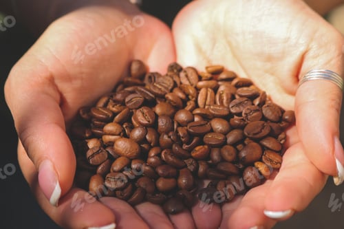 Vorschau: Kaffeebohnen