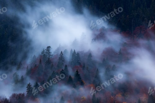 Preview: Silhouette of forest with dense fog at dusk. Image taken with long exposure technic.