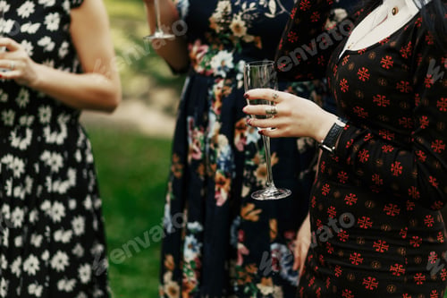Preview: luxury stylish women at elegant celebration holding champagne