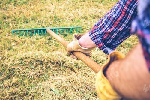 Preview: Man arms raking hay with pitchfork on field