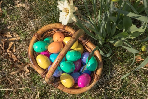 Preview: Easter eggs in spring garden on Easter day. Traditional festival outdoors.