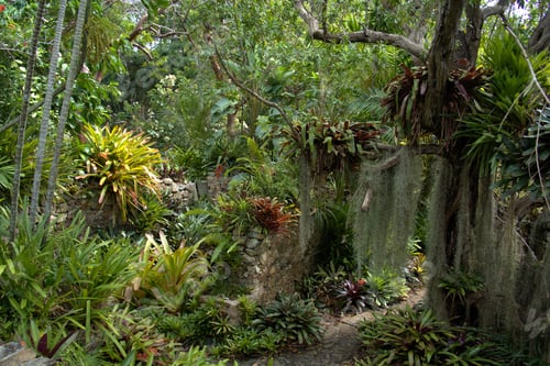 Aperçu: St. George Village Botanical Garden