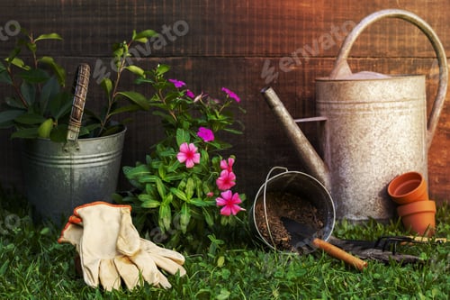 Vorschau: Gartenszene im Freien mit zwei Gießkannen und einem Paar Gartenhandschuhen auf dem Boden