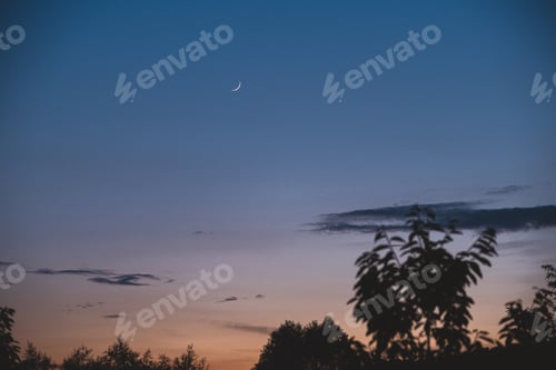 Preview: Minimalist shot of sky with trees and new moon
