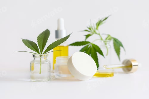 Preview: Cream jar and pipette with CBD oil near green cannabis leaves closeup on white, Cosmetic mockup