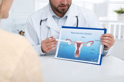 Preview: Gynecologist showing illustration of female reproductive system to young woman, closeup