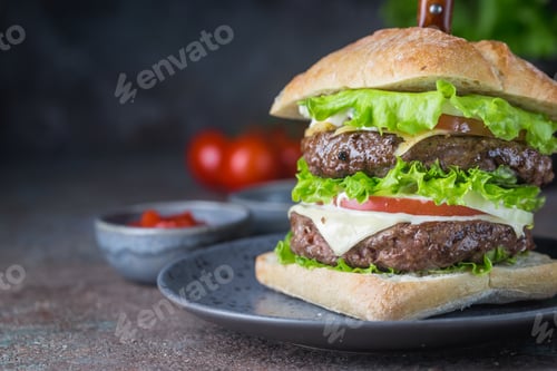 Preview: Hamburger with beef meat