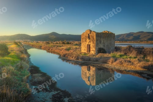 Preview: Castiglione della Pescaia Maremma, Diaccia Botrona natural reserve. Tuscany, Italy
