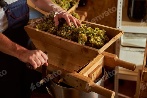 Preview: Skillful winemaker squeezing juice out of grapes