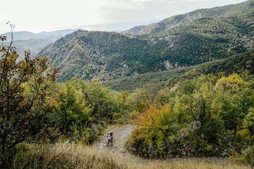 Preview: Cyclist Sports Mountainbike